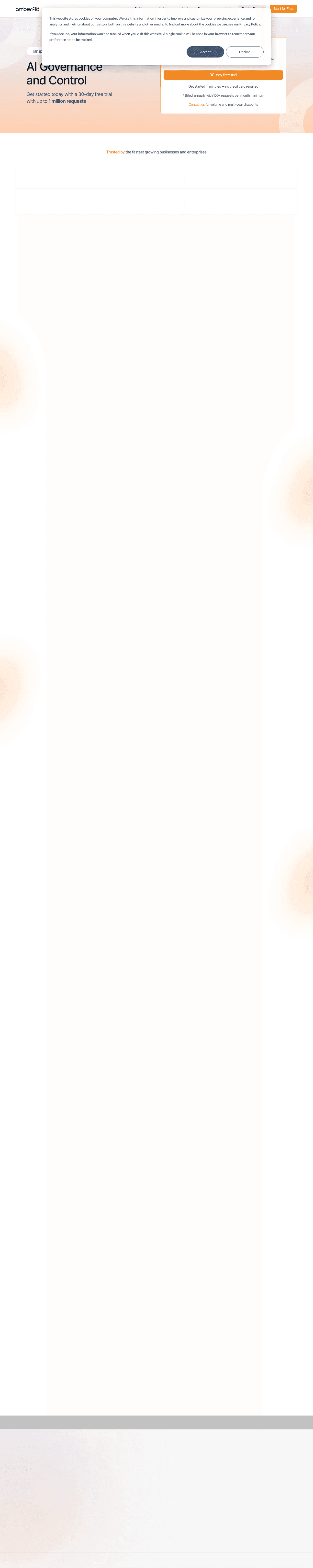 Amberflo screenshot 2