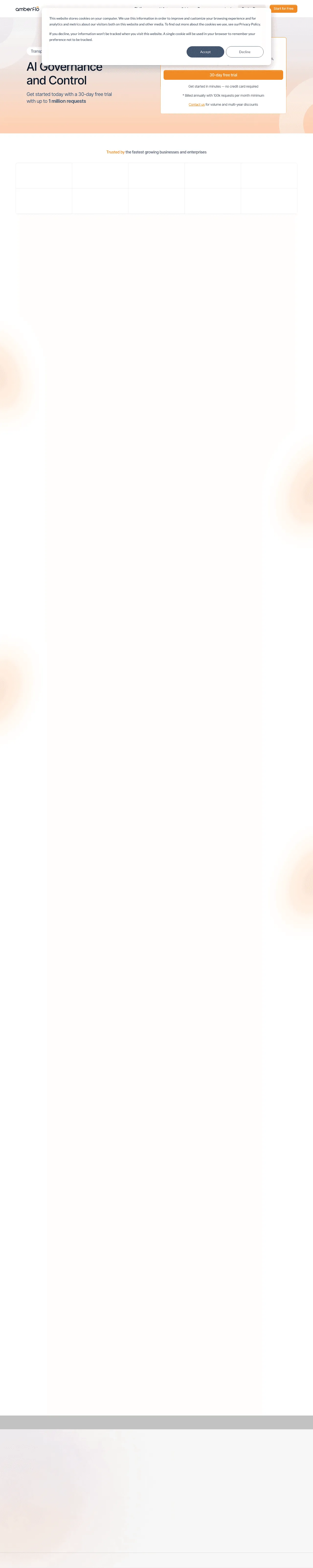 Amberflo screenshot 2