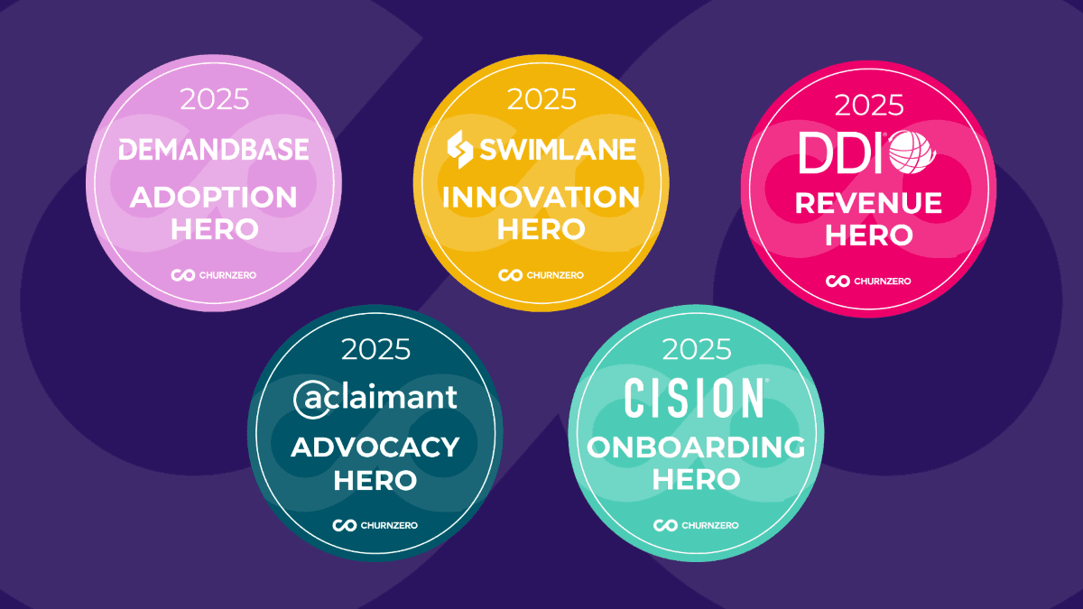 ChurnZero screenshot 2