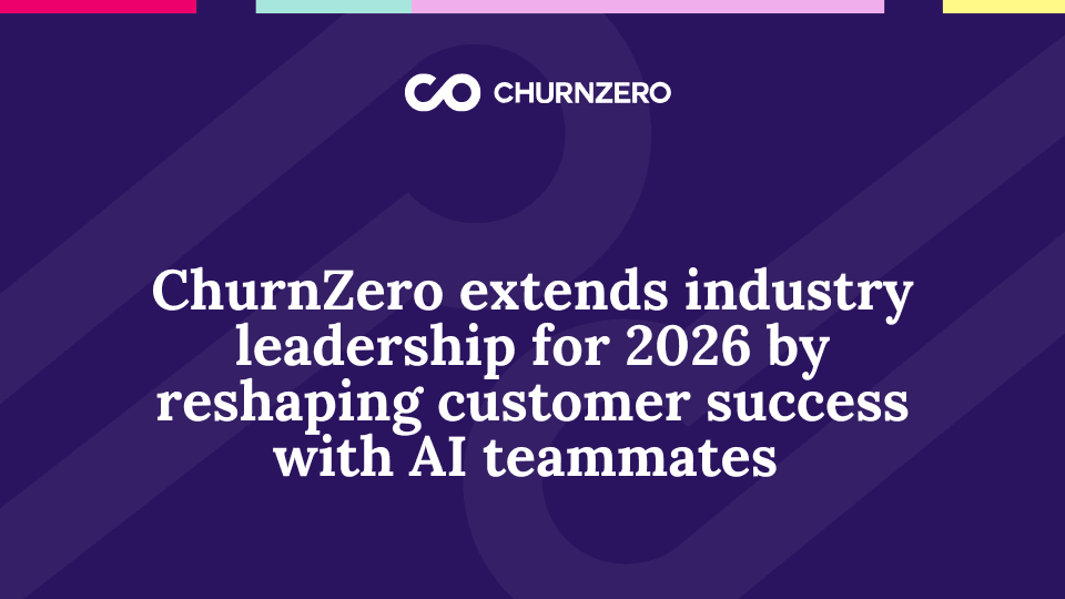 ChurnZero screenshot 5