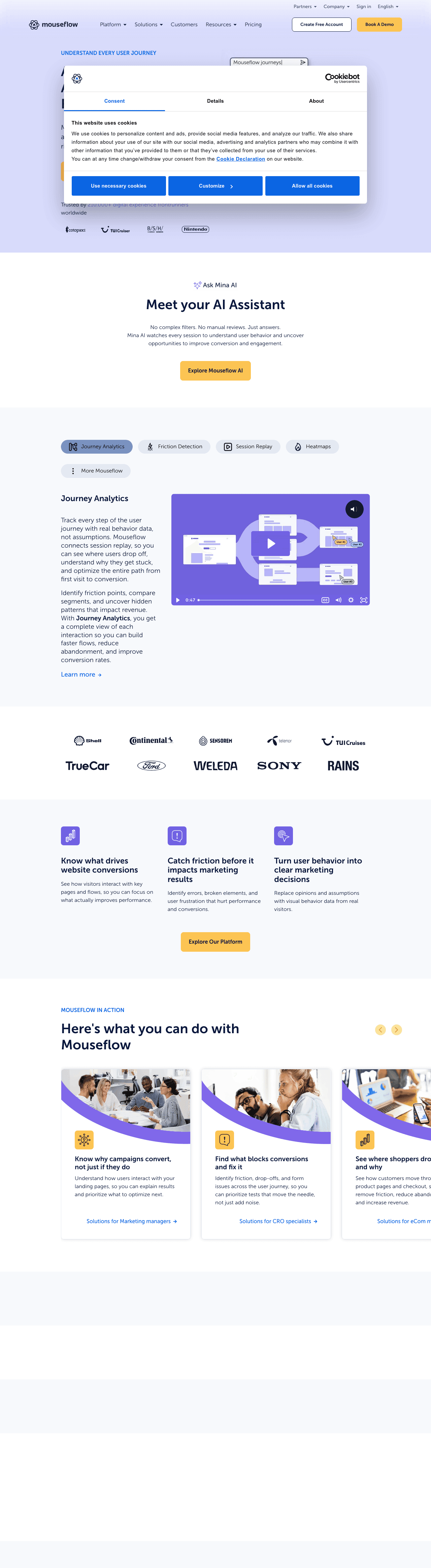 Mouseflow screenshot 2