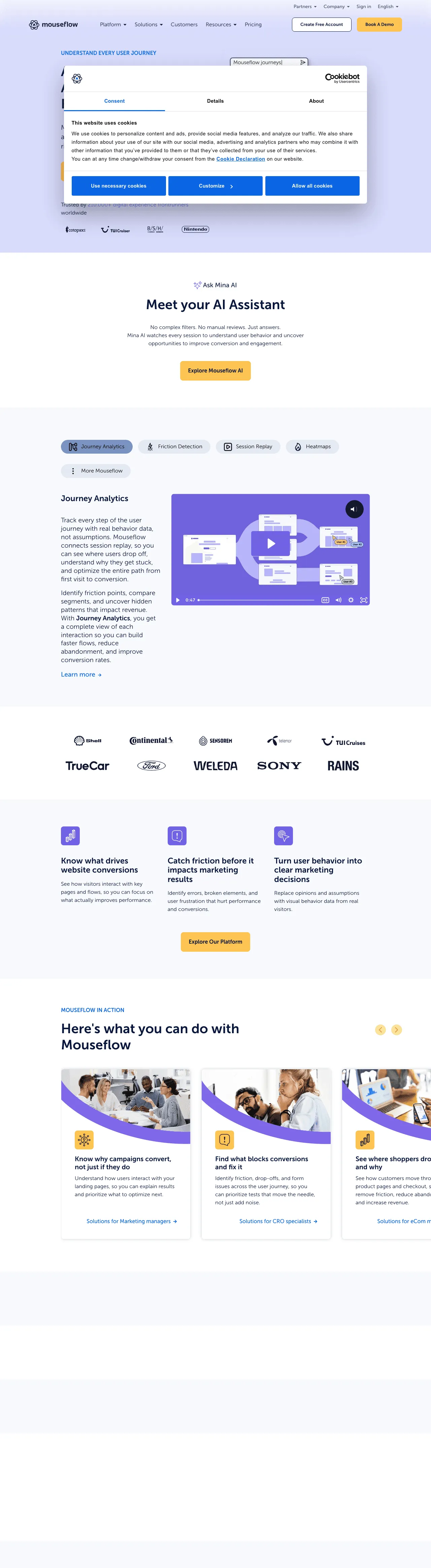 Mouseflow screenshot 2