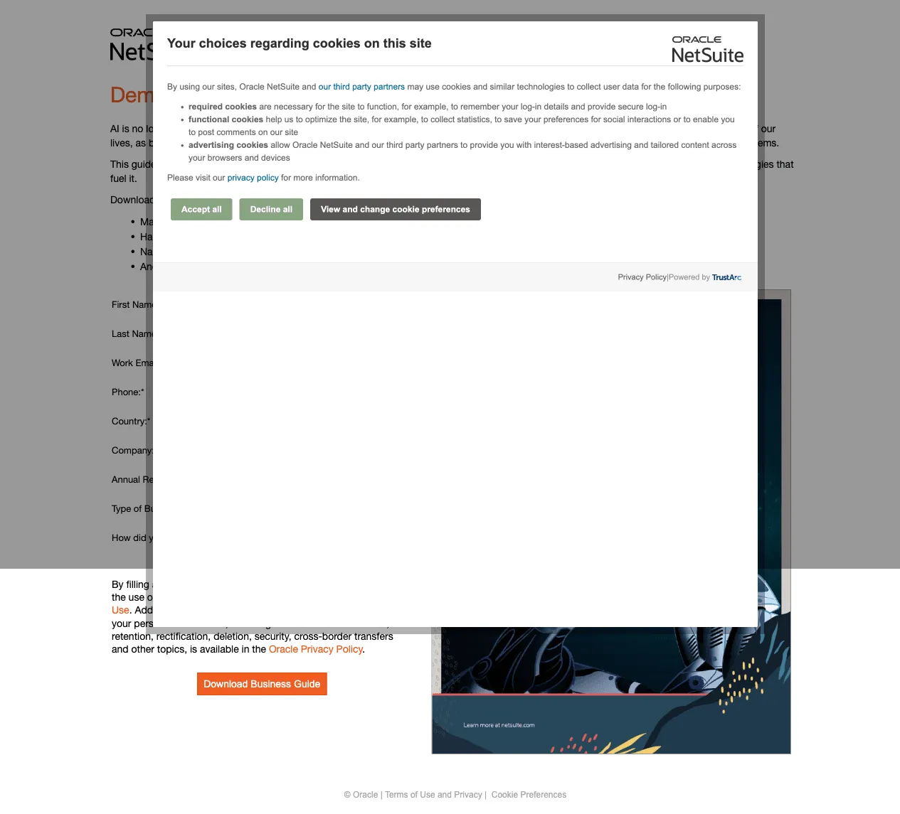 NetSuite screenshot 3