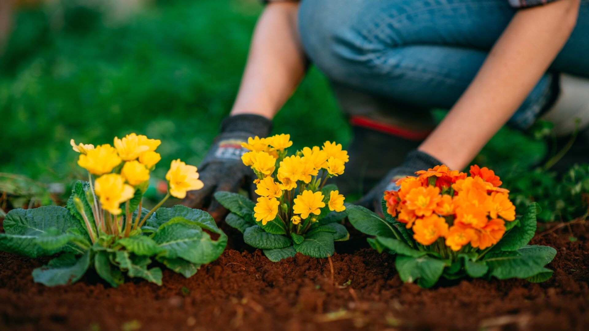 ShipStation screenshot 4