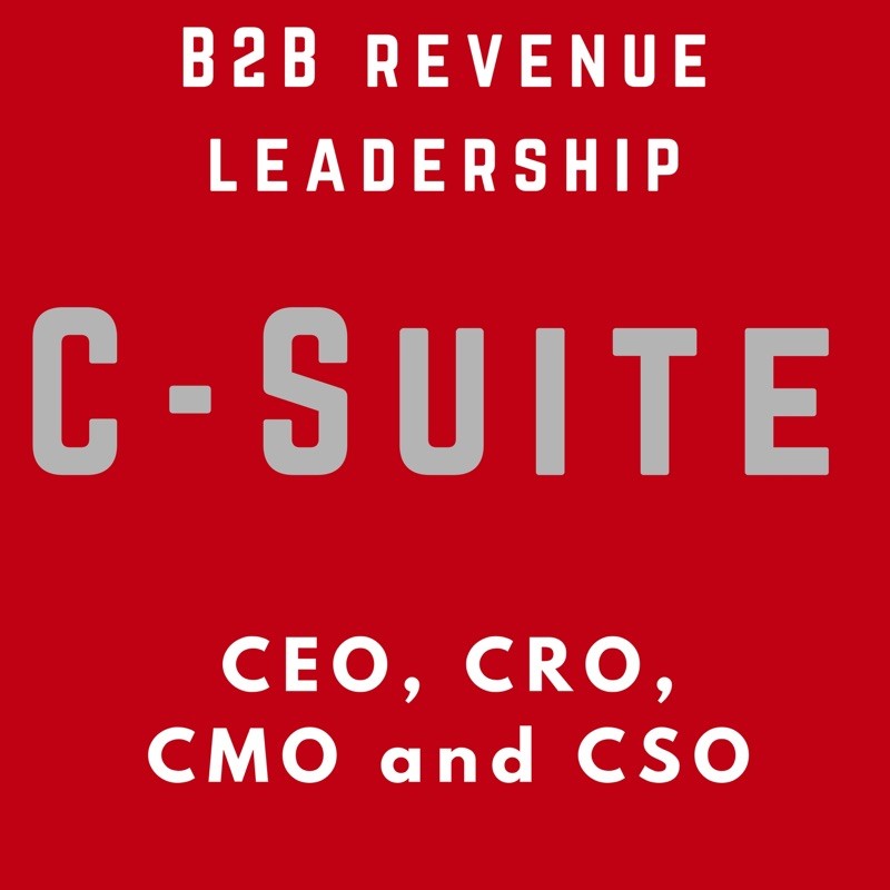 Enterprise Sales & Marketing Leadership - for B2B Companies - CXO - VC - Startup - Success - SaaS cover